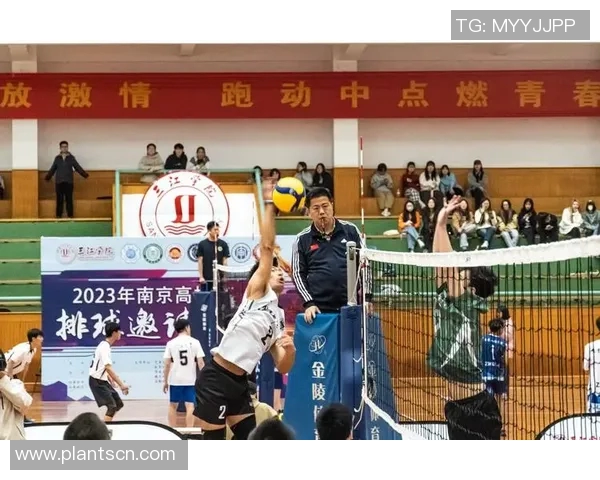 武汉排球队进攻策略全解析深度剖析排球战术与团队协作