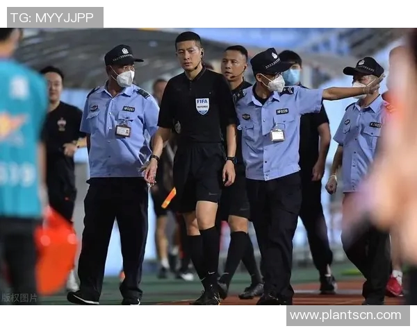 深圳篮球队实力引发热议球迷观点分歧背后的深层原因分析 深圳篮球队实力引发热议球迷观点分歧背后的深层原因分析