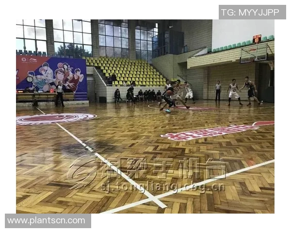 重庆篮球队运营策略深度分析与市场发展前景探讨