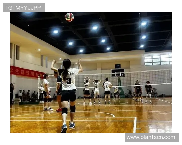 重庆排球队在排球耐力排名中创下新高展现团队实力与拼搏精神