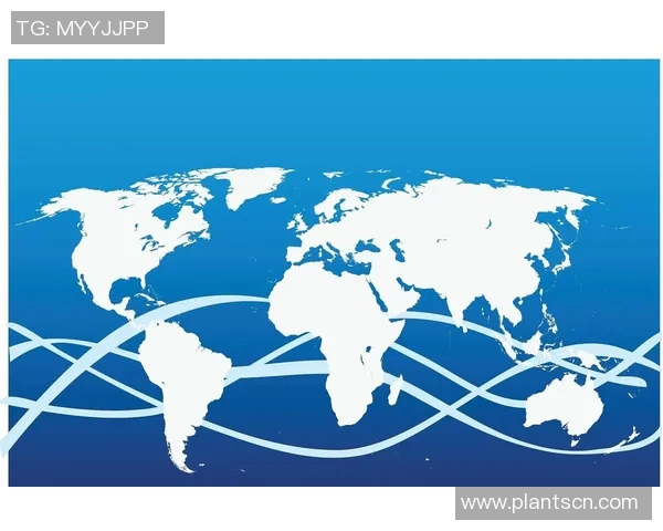 重磅专题：探寻北京排球队转型升级背后的创新与挑战