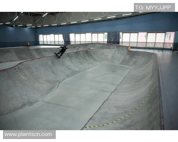 南京滑板队实力对比深度剖析各队员技术特点与战术优势