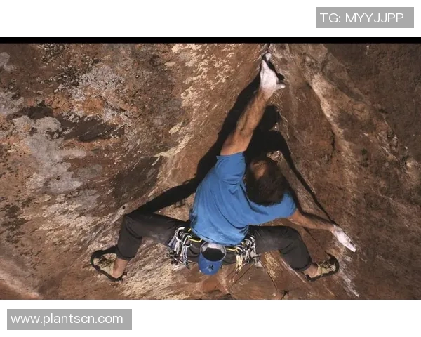 南京攀岩队夺冠最新攀岩节奏TOP10榜单揭晓引发热议 南京攀岩队夺冠最新攀岩节奏TOP10榜单揭晓引发热议