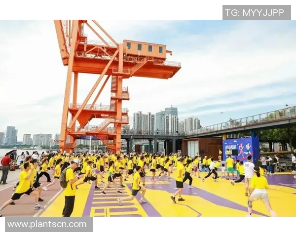 成都滑板队逆袭马拉松大满贯的奋斗历程与荣耀时刻