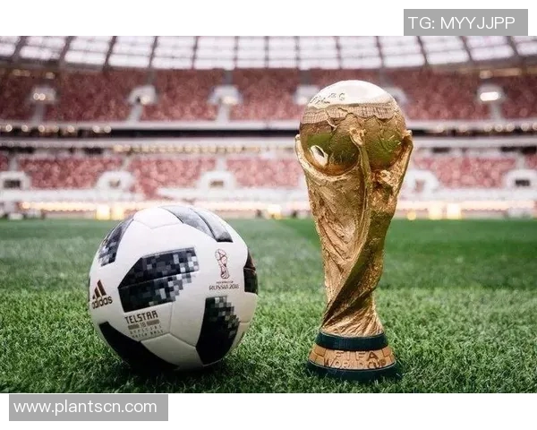 北京网球队在世界杯中的个人能力表现分析与点评