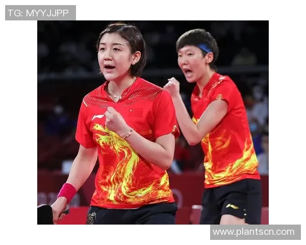 南京羽毛球队大满贯赛表现分析与状态评估全景解读