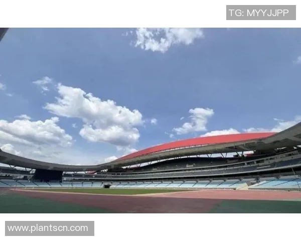 南京足球队的崛起与发展：探索城市足球文化的深厚底蕴与未来潜力