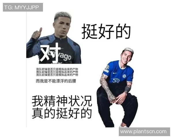 各足球明星表情包