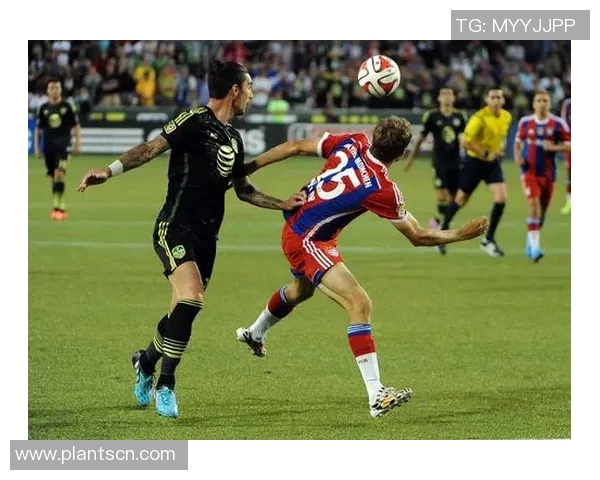 哈尼宝贝足球明星名字大揭秘让你了解他们背后的故事与成就