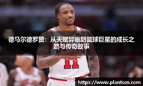 6686体育官网