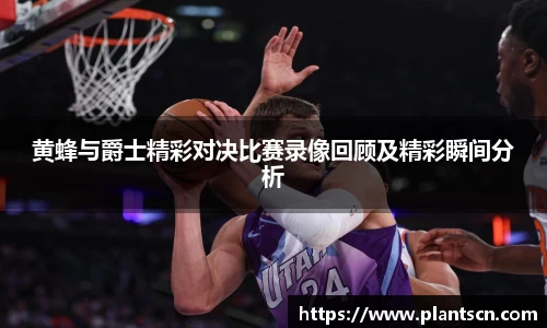 6686体育官网