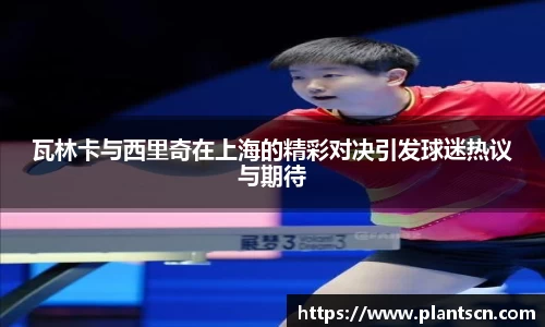 6686体育