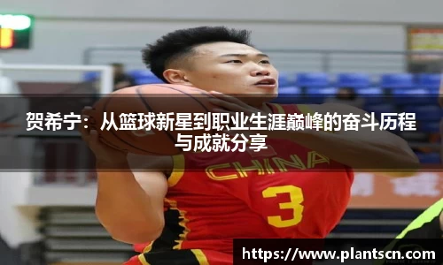 贺希宁：从篮球新星到职业生涯巅峰的奋斗历程与成就分享