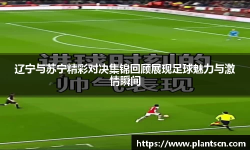 辽宁与苏宁精彩对决集锦回顾展现足球魅力与激情瞬间