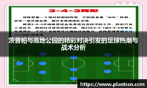 茨普帕与高地公园的精彩对决引发的足球热潮与战术分析