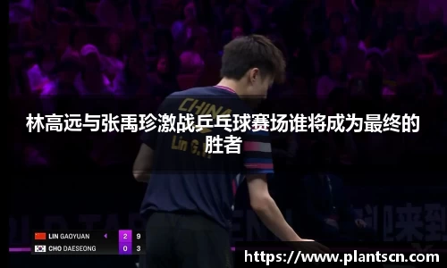 林高远与张禹珍激战乒乓球赛场谁将成为最终的胜者