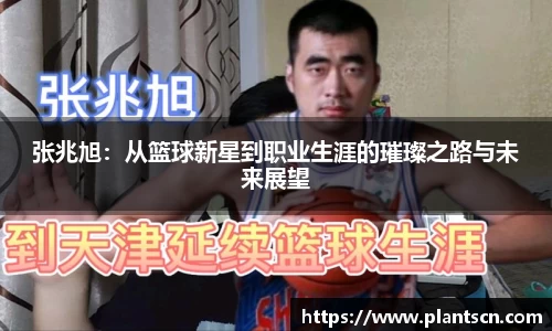 6686体育官网