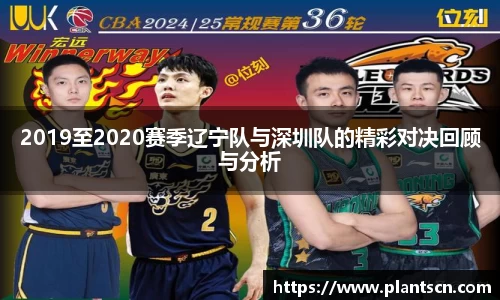 6686体育APP