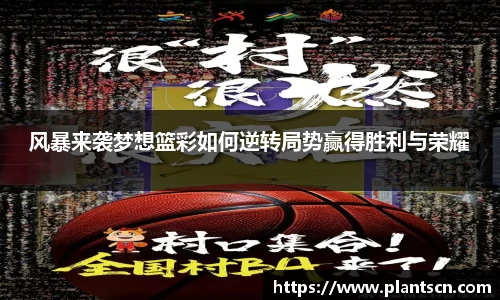 风暴来袭梦想篮彩如何逆转局势赢得胜利与荣耀