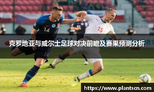 克罗地亚与威尔士足球对决前瞻及赛果预测分析