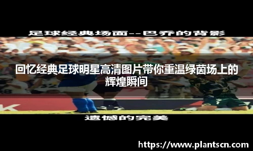 回忆经典足球明星高清图片带你重温绿茵场上的辉煌瞬间