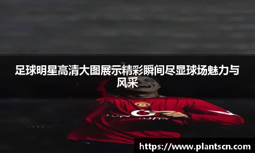 足球明星高清大图展示精彩瞬间尽显球场魅力与风采
